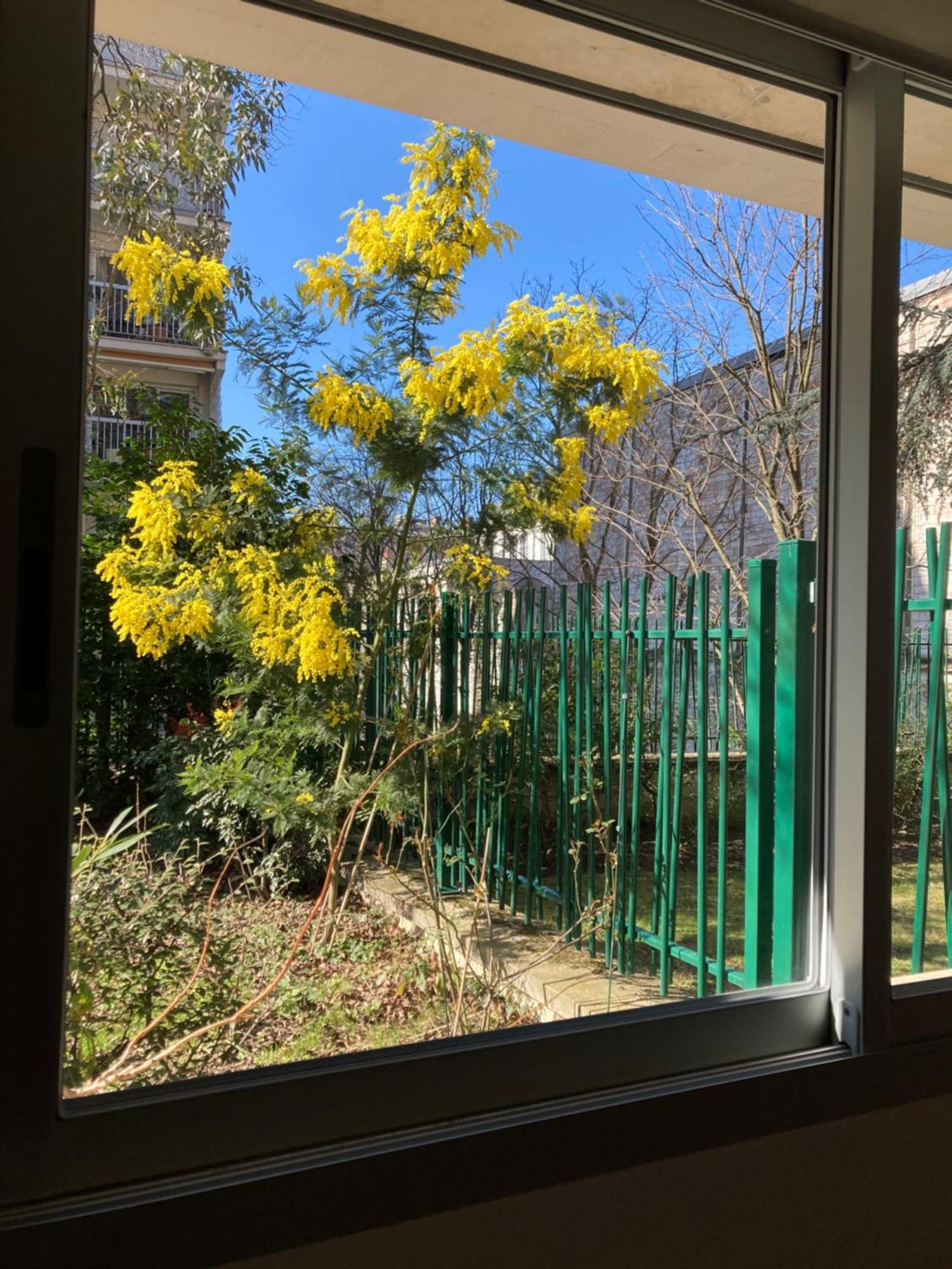Vue Sur Jardin, 3 Pieces Appartement Parijs Buitenkant foto